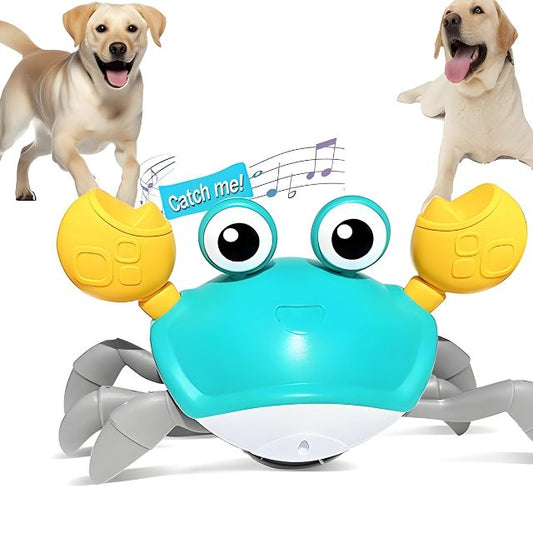 Crawling Crab Toy - Interactive Toy for Pups