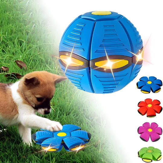 Doggy Disc Ball - Interactive Toy for Pups