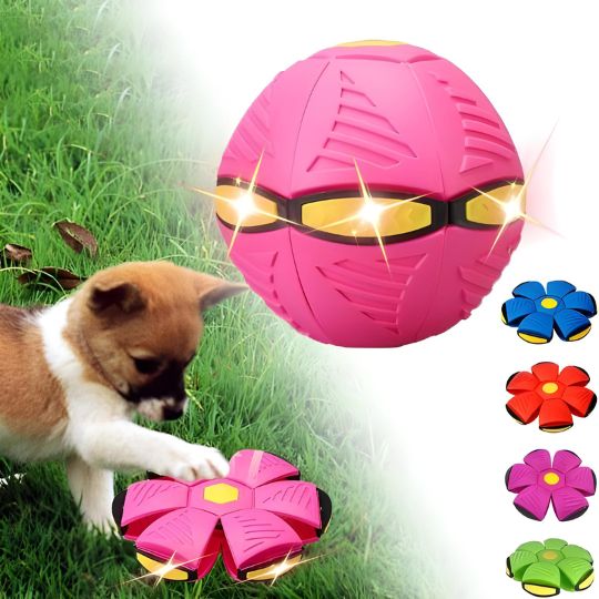 Doggy Disc Ball - Interactive Toy for Pups